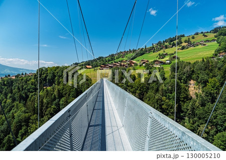 Stunning View from a Suspension Bridge over a Green Swiss Valley in Switzerland Stunning View from a Suspension Bridge over a Green Swiss Valley in Switzerland 130005210