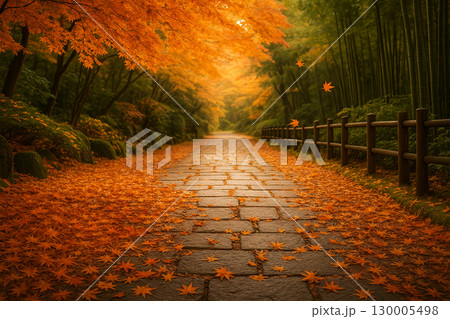 石畳の参道と紅葉の絨毯 / Stone Path with Autumn Maple Leaves 130005498