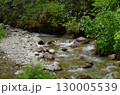 緑の森を流れる川 130005539