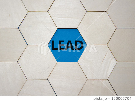 Lead symbol. Concept word Lead on wooden comb puzzle. Beautiful blue background. Business and Lead concept. Copy space. 130005704