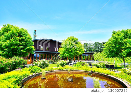 オチカビ ワイナリーの風景　（北海道余市町） 130007253