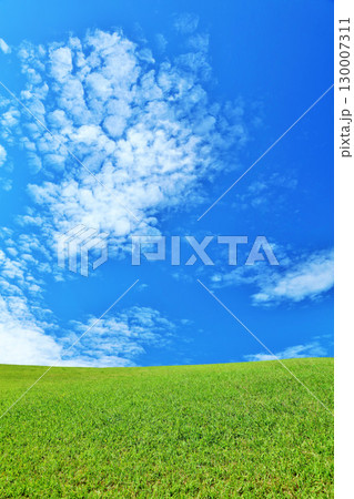 秋の青空と綺麗な草原風景 秋の青空と綺麗な草原風景 130007311