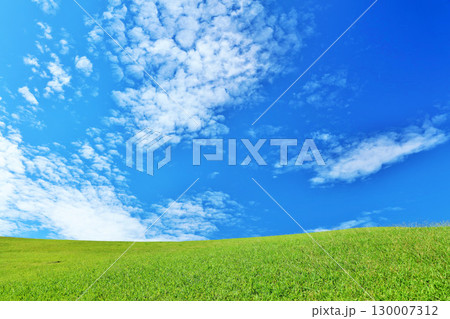 秋の青空と綺麗な草原風景 130007312