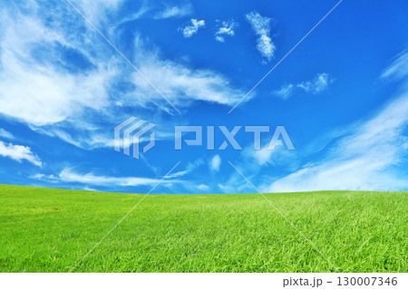 秋の青空と綺麗な草原風景 130007346