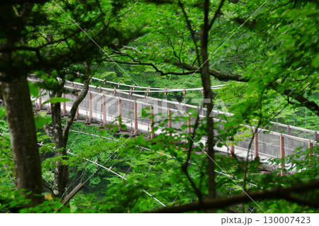 回顧の吊り橋_06 回顧の吊り橋_06 130007423