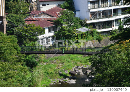 山ゆりの吊橋_10 山ゆりの吊橋_10 130007440