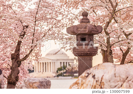 The Jefferson Memorial during the Cherry Blossom Festival in Washington, DC, The Jefferson Memorial during the Cherry Blossom Festival in Washington, DC, 130007599