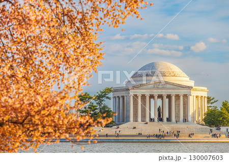 The Jefferson Memorial during the Cherry Blossom Festival in Washington, DC The Jefferson Memorial during the Cherry Blossom Festival in Washington, DC 130007603