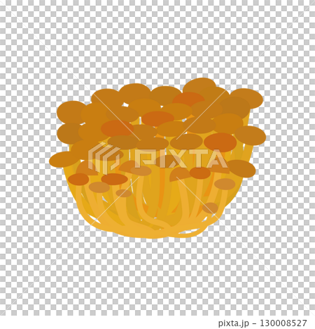 Nameko 蘑菇插圖圖標 130008527