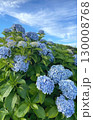紫陽花と青空 130008768