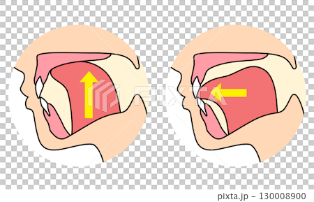 How to mew properly: correct and incorrect tongue position 130008900
