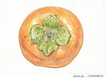 水彩で描いた上から見たヘタがある富有柿のイラスト素材 [130009034