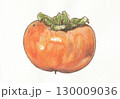 水彩で描いた横から見たヘタがある富有柿 130009036