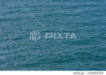 夏の海 130009100