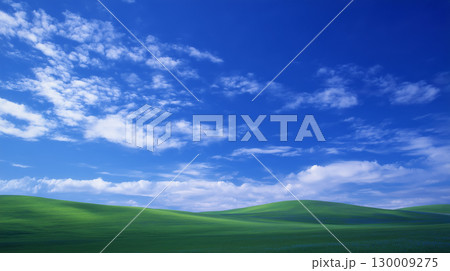 草原の丘と青空 130009275