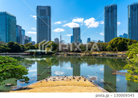 【東京都】高層ビルに囲まれた浜離宮恩賜庭園の潮入の池 130009345