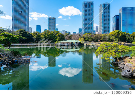 【東京都】高層ビルに囲まれた浜離宮恩賜庭園の潮入の池 130009356