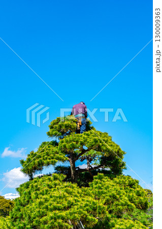 樹木の手入れをする職人 130009363