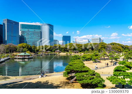 【東京都】高層ビルに囲まれた浜離宮恩賜庭園の潮入の池 【東京都】高層ビルに囲まれた浜離宮恩賜庭園の潮入の池 130009370