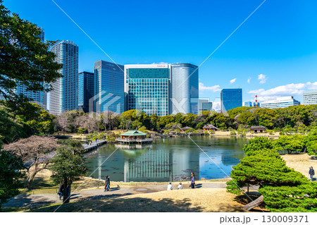 【東京都】高層ビルに囲まれた浜離宮恩賜庭園の潮入の池 130009371