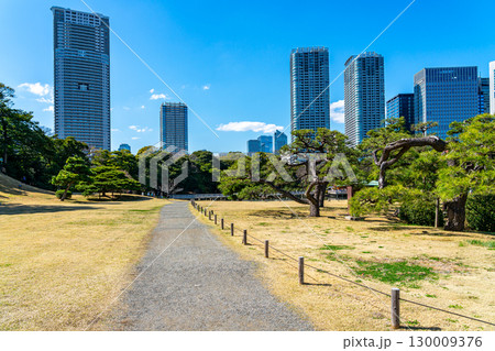 【東京都】高層ビルに囲まれた浜離宮恩賜庭園 130009376