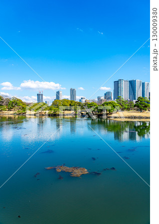 【東京都】高層ビルに囲まれた浜離宮恩賜庭園の潮入の池 130009380