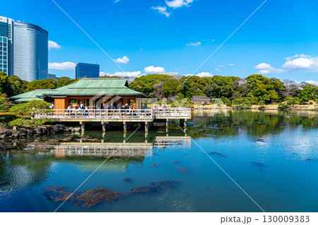 【東京都】高層ビルに囲まれた浜離宮恩賜庭園の潮入の池 【東京都】高層ビルに囲まれた浜離宮恩賜庭園の潮入の池 130009383