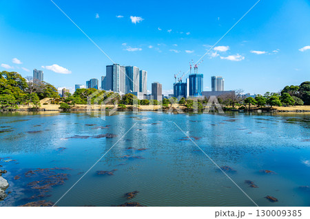 【東京都】高層ビルに囲まれた浜離宮恩賜庭園の潮入の池 130009385