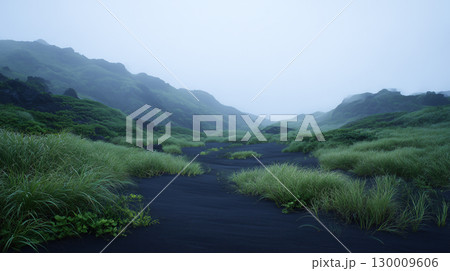 霧がかる火山岩の黒い砂漠と植物の景色	 130009606