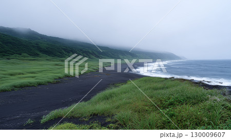 霧がかる火山岩の黒い砂漠と植物の景色	 130009607