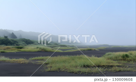 霧がかる火山岩の黒い砂漠と植物の景色	 130009608