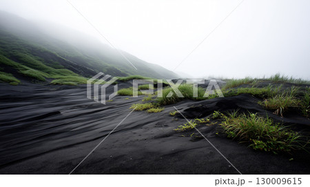 霧がかる火山岩の黒い砂漠と植物の景色	 130009615