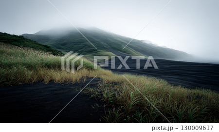 霧がかる火山岩の黒い砂漠と植物の景色	 130009617