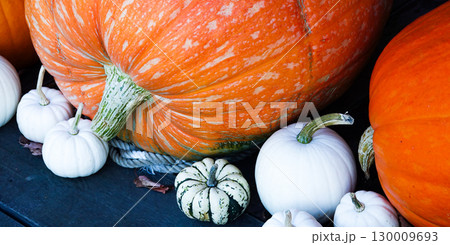 秋深まるハロウィンー用のカボチャのある風景 130009693