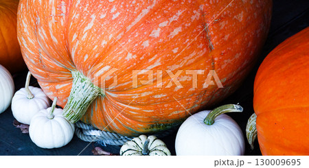 秋深まるハロウィンー用のカボチャのある風景 130009695