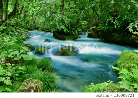 初夏の奥入瀬渓流・石ケ戸の瀬（青森県・十和田市） 130009721