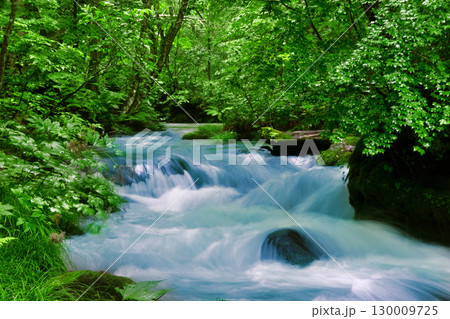 初夏の奥入瀬渓流・石ケ戸の瀬（青森県・十和田市） 130009725