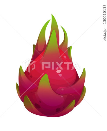 Cartoon tropical ripe raw dragonfruit, isolated vector whole exotic pitaya fruit with bright pink skin, spiky texture and green scales. Natural plant, healthy vegan food rich in fiber and antioxidants Cartoon tropical ripe raw dragonfruit, isolated vector whole exotic pitaya fruit with bright pink skin, spiky texture and green scales. Natural plant, healthy vegan food rich in fiber and antioxidants 130010158