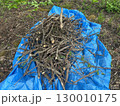 集めた木の枝　ブルーシート 130010175