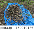 集めた木の枝　ブルーシート 130010176