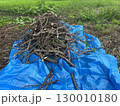 集めた木の枝　ブルーシート 130010180