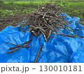集めた木の枝　ブルーシート 130010181