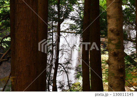 乙女の滝_10 130011145