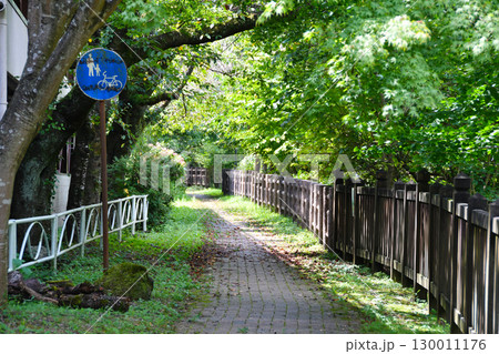 塩原渓谷歩道_03 130011176