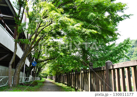 塩原渓谷歩道_04 塩原渓谷歩道_04 130011177