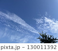 空と雲と樹 130011392