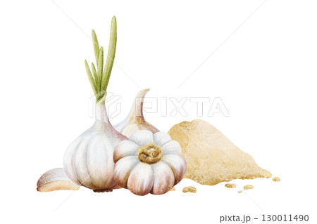 Ground garlic powder with bulbs and cloves watercolor illustration. Pile of dry spice vegetables for cooking and folk medicine recipes. Minced seasoning for culinary. Healthy food hand drawn clip art 130011490