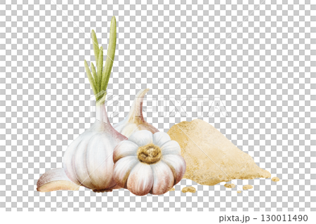 Ground garlic powder with bulbs and cloves watercolor illustration. Pile of dry spice vegetables for cooking and folk medicine recipes. Minced seasoning for culinary. Healthy food hand drawn clip art 130011490
