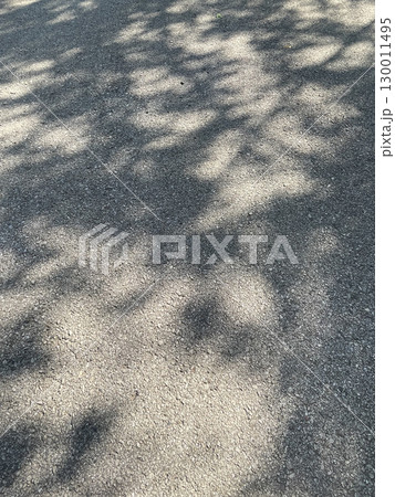 アスファルトに春の影 130011495