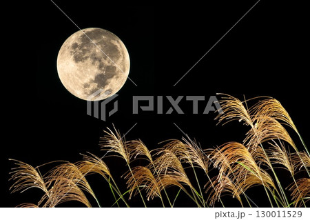 ススキと中秋の名月 130011529